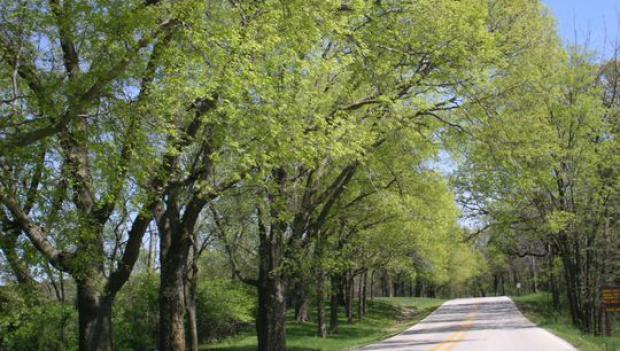 Dolliver Memorial State Park